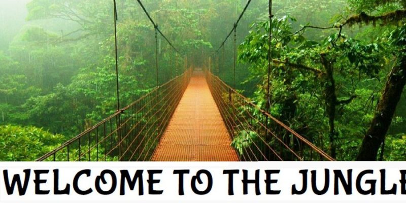 Welcome-to-the-Jungle